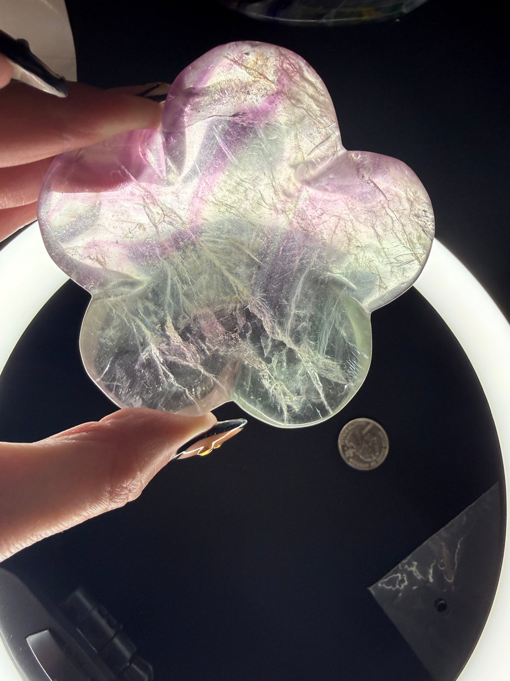 Stunning Fluorite Flower Bowl