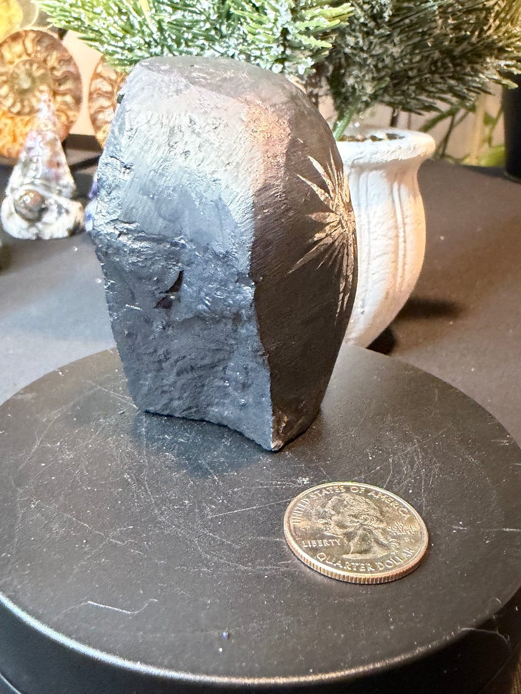 Natural Chrysanthemum Stone Specimen