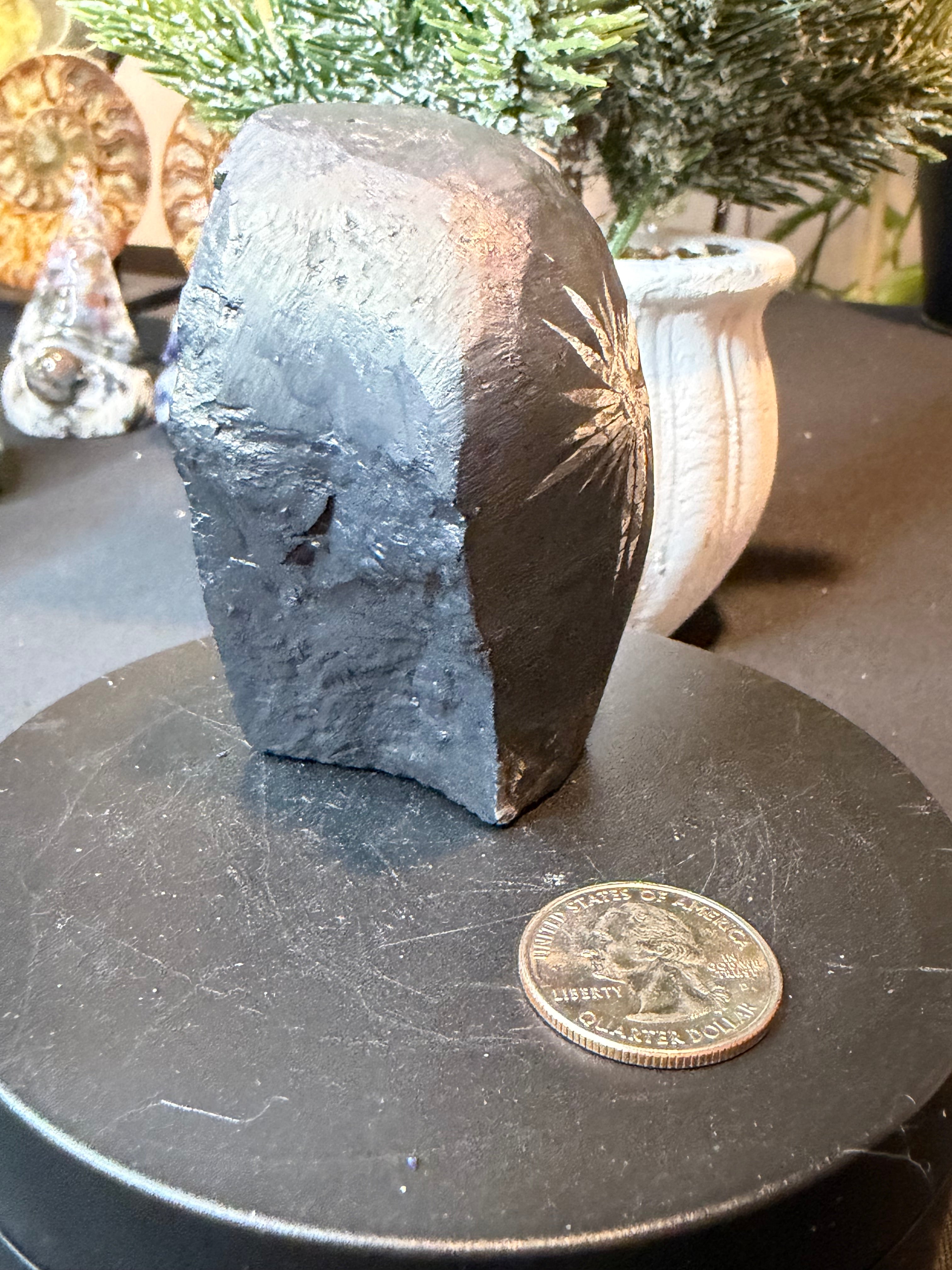 Natural Chrysanthemum Stone Specimen