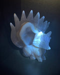 Druzy Agate 9-Tail Fox Carving - Crystal Kitsune Fox Statue