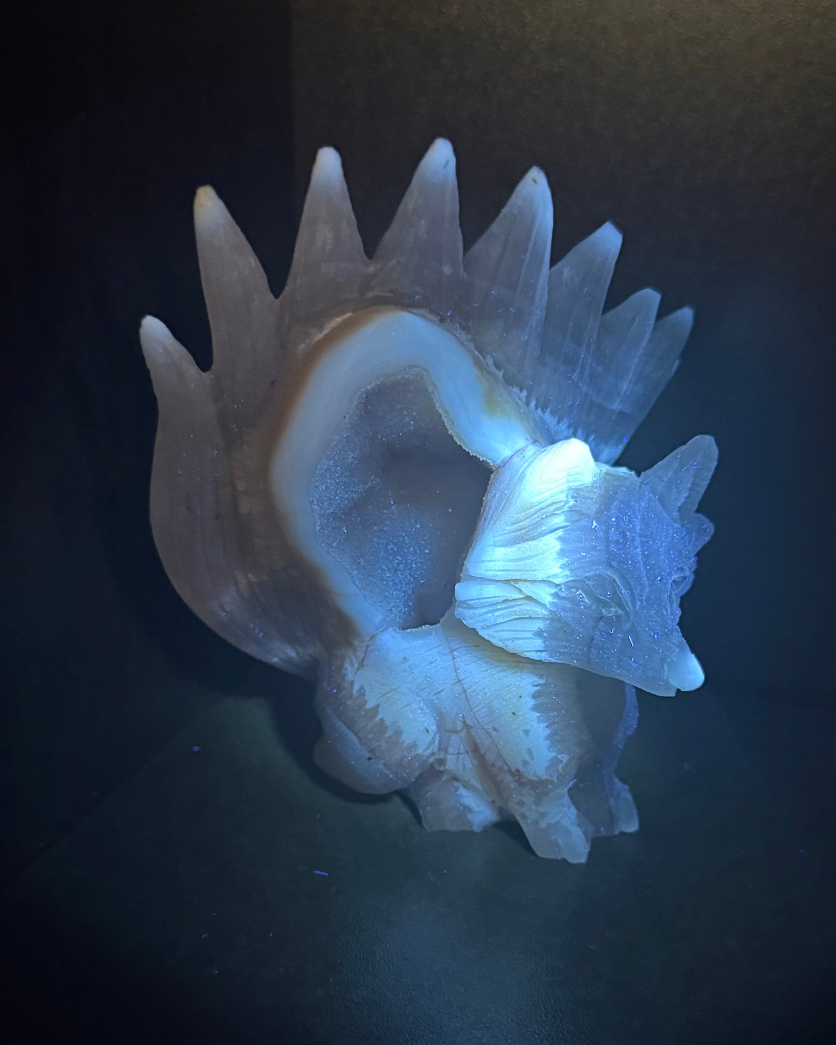 Druzy Agate 9-Tail Fox Carving - Crystal Kitsune Fox Statue