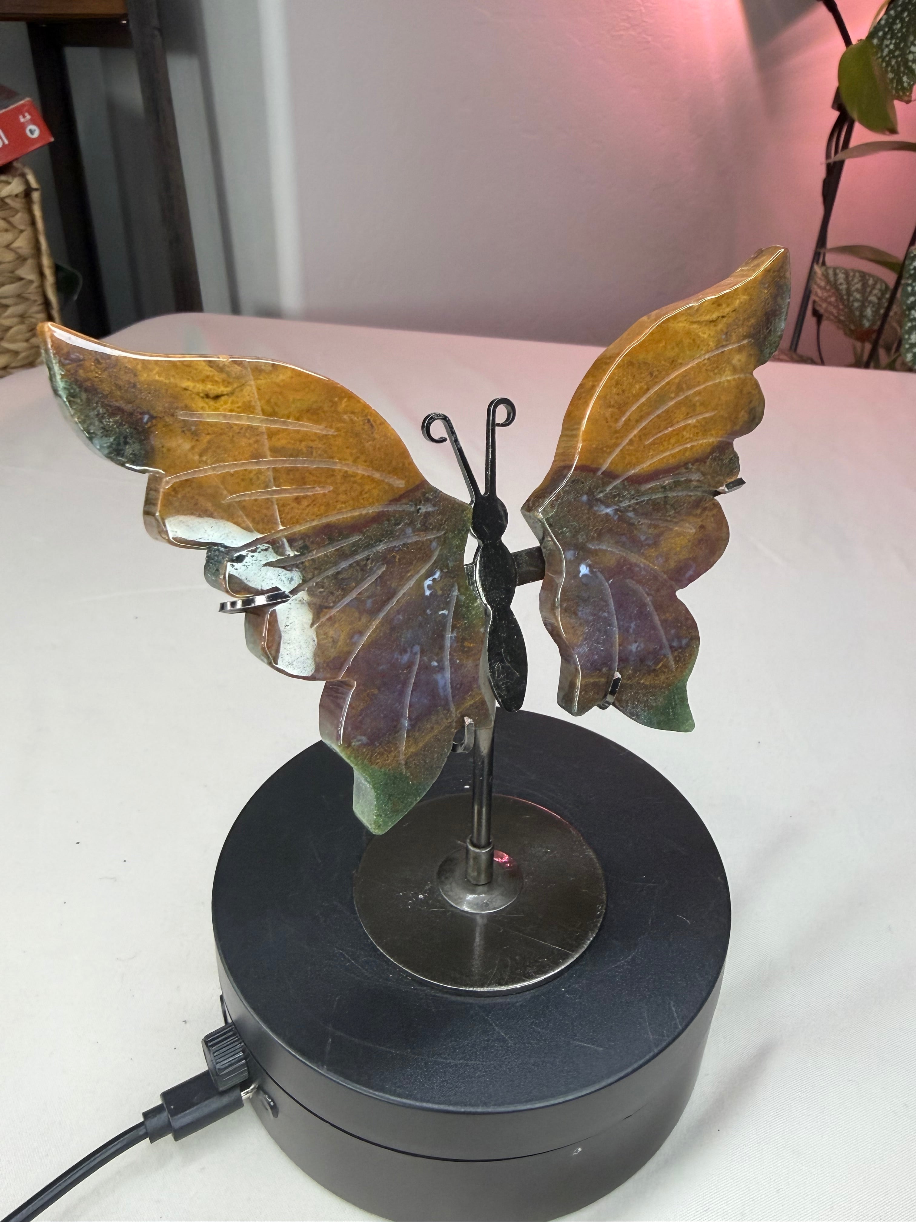 Ocean Jasper Butterfly Wings
