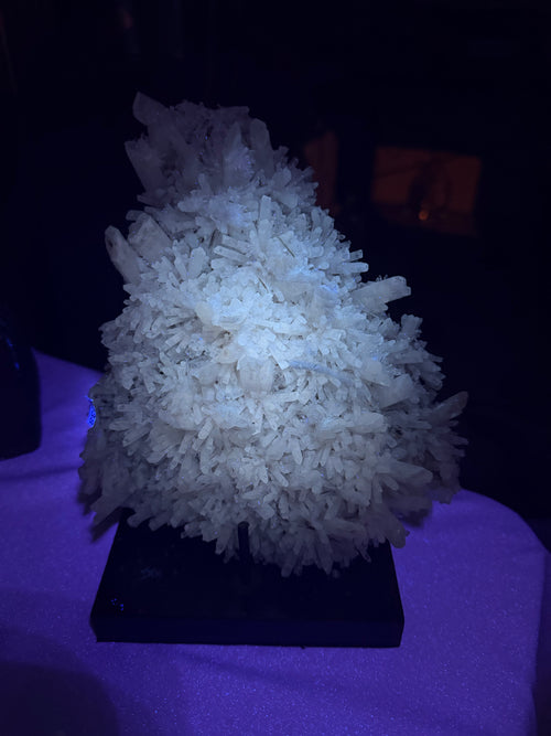 Australian Selenite Crystal Statement Piece