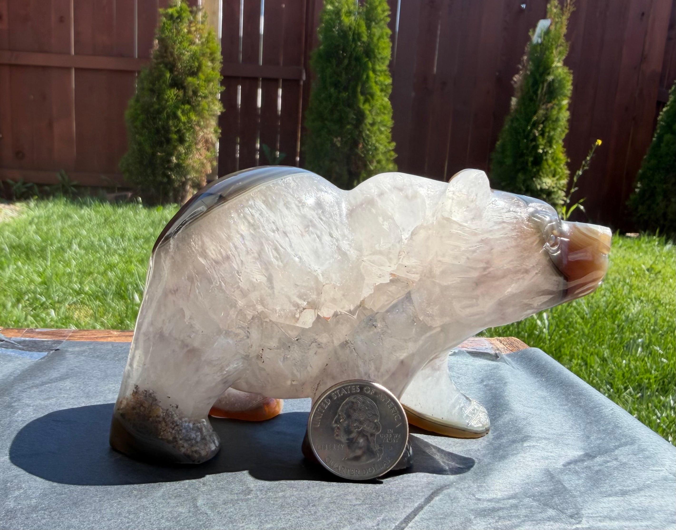 Druzy Agate Hand Carved Bear