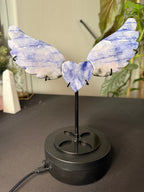 Natural Blue Sodalite Hackmanite Angel Wings with Heart Center