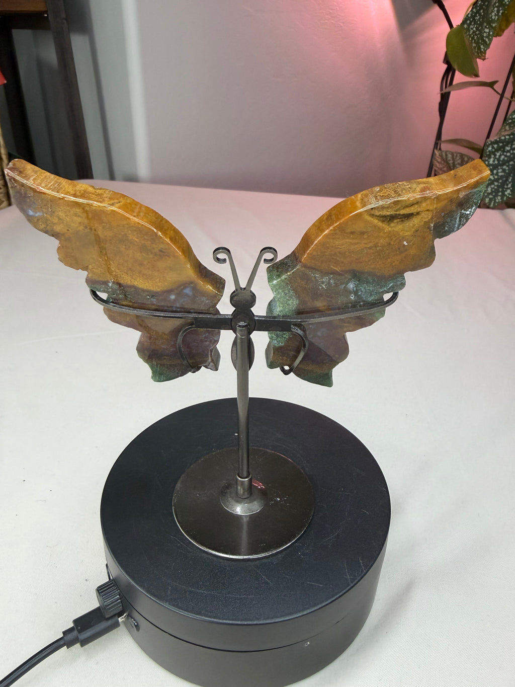 Ocean Jasper Butterfly Wings