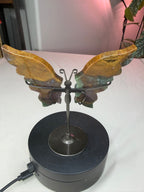 Ocean Jasper Butterfly Wings