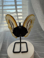 Natural Agate Butterfly Wings on Display Stand - 5.5" Mineral Sculpture - 7.3 oz