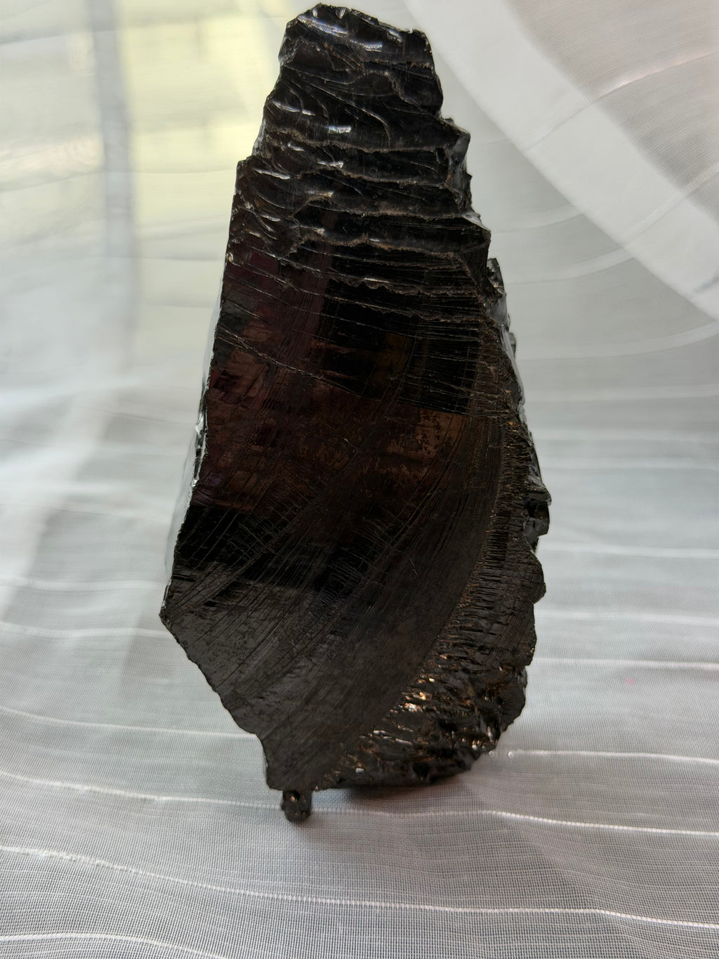 Large Elite Shungite Raw Specimen 175g - Type 1 Noble Shungite Karelia