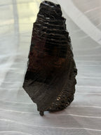 Large Elite Shungite Raw Specimen 175g - Type 1 Noble Shungite Karelia