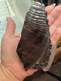 Large Elite Shungite Raw Specimen 175g - Type 1 Noble Shungite Karelia