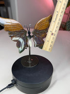 Ocean Jasper Butterfly Wings