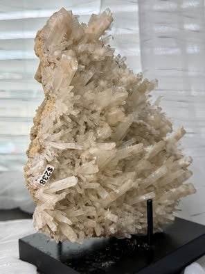 Australian Selenite Crystal Statement Piece