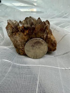 Natural Smoky Brown Stone Cluster with Golden Needle Inclusions