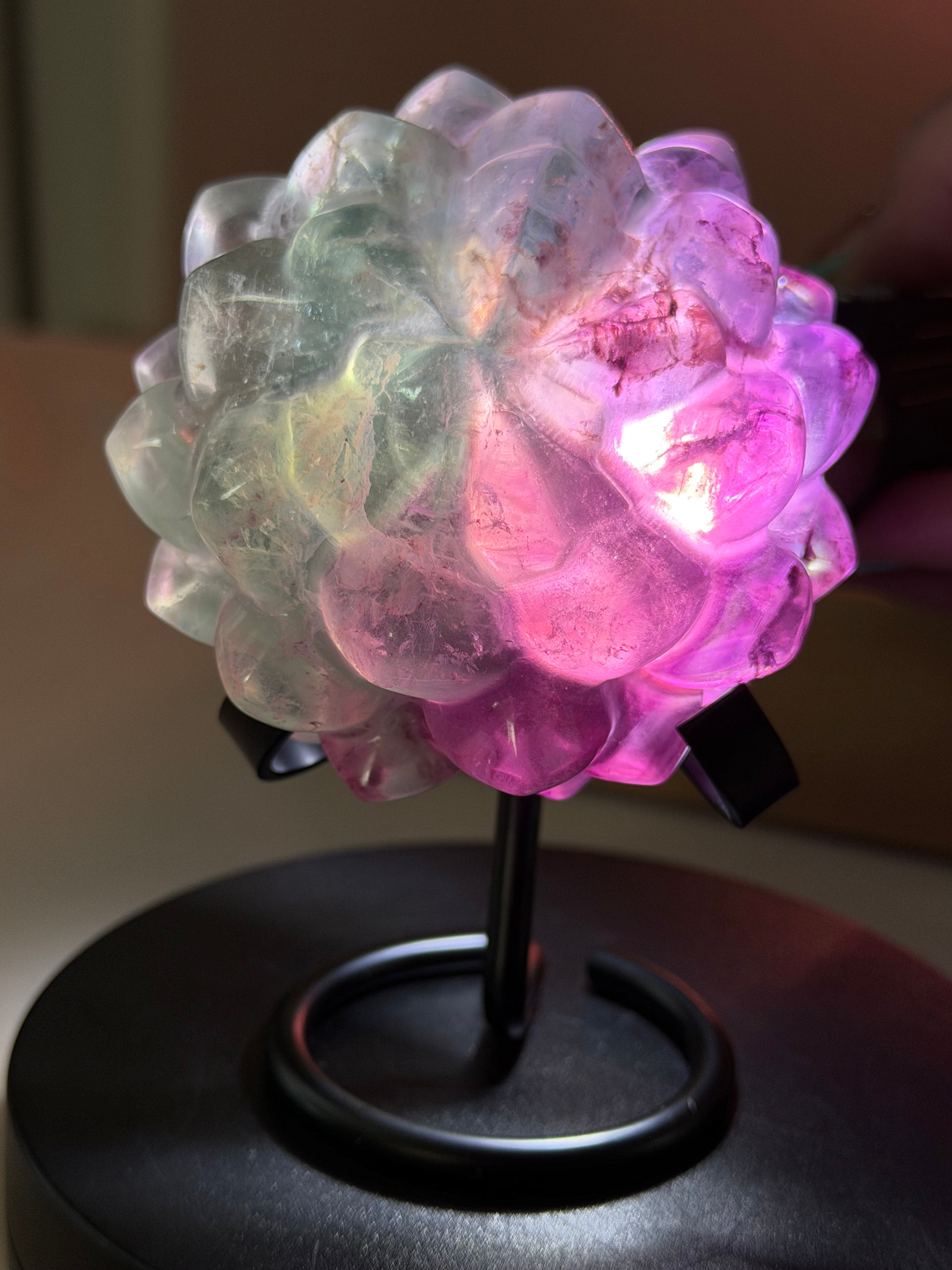 Rainbow Fluorite Flower Succulent Carving on Stand