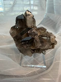 Natural Smoky Quartz Crystal Cluster on Stand