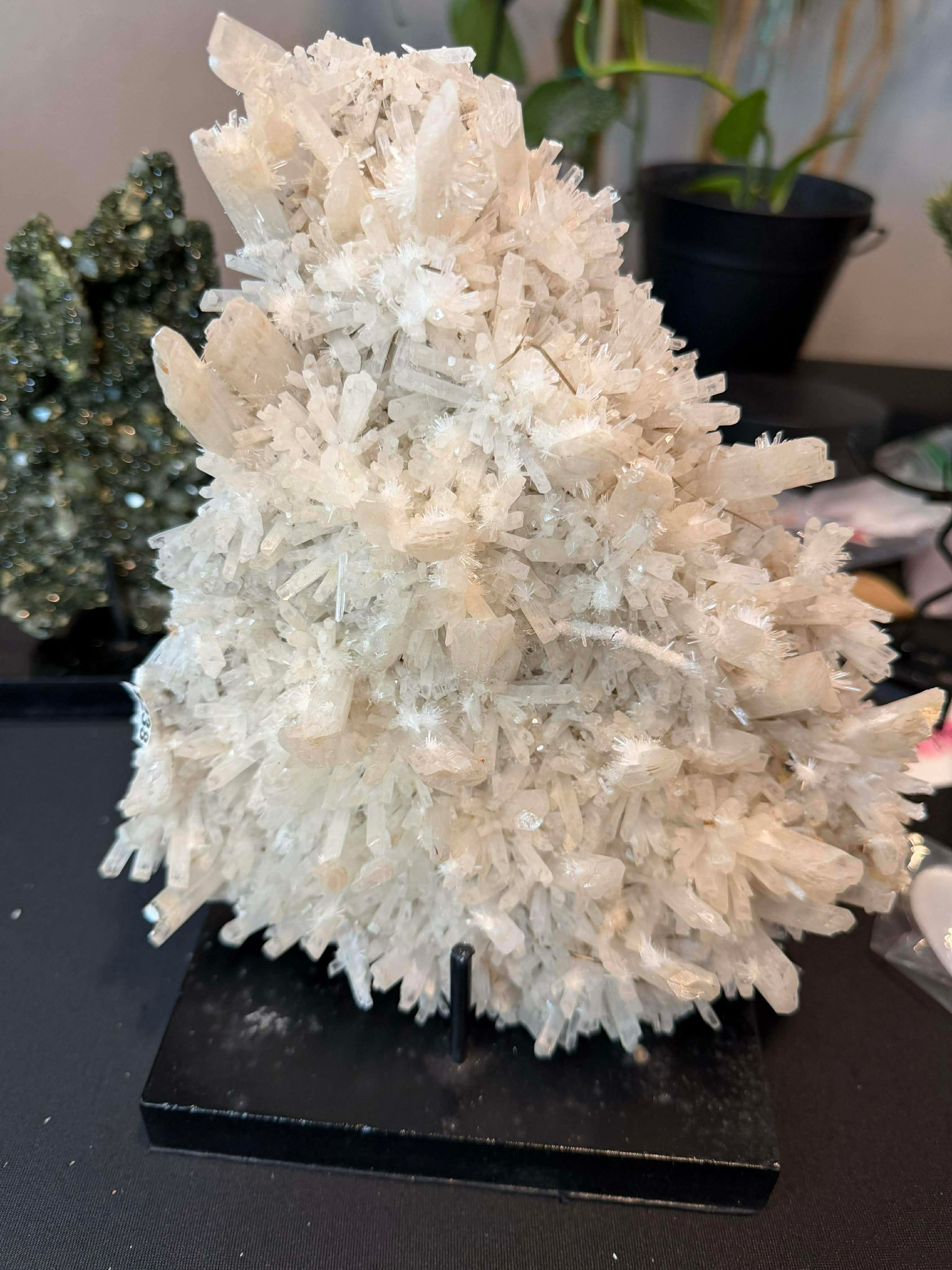 Australian Selenite Crystal Statement Piece