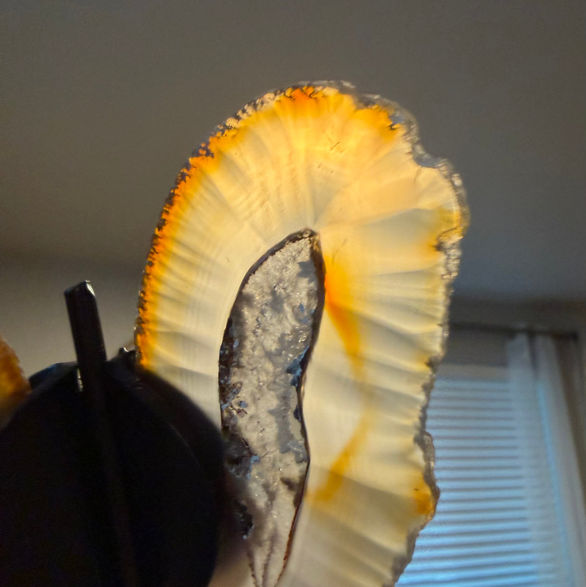 Natural Agate Butterfly Wings on Display Stand - 5.5" Mineral Sculpture - 7.3 oz