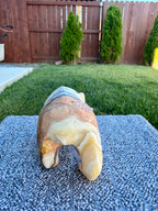 Zebra Calcite Bear Carving with Blue Onyx Fish - Banded Calcite Animal Statue