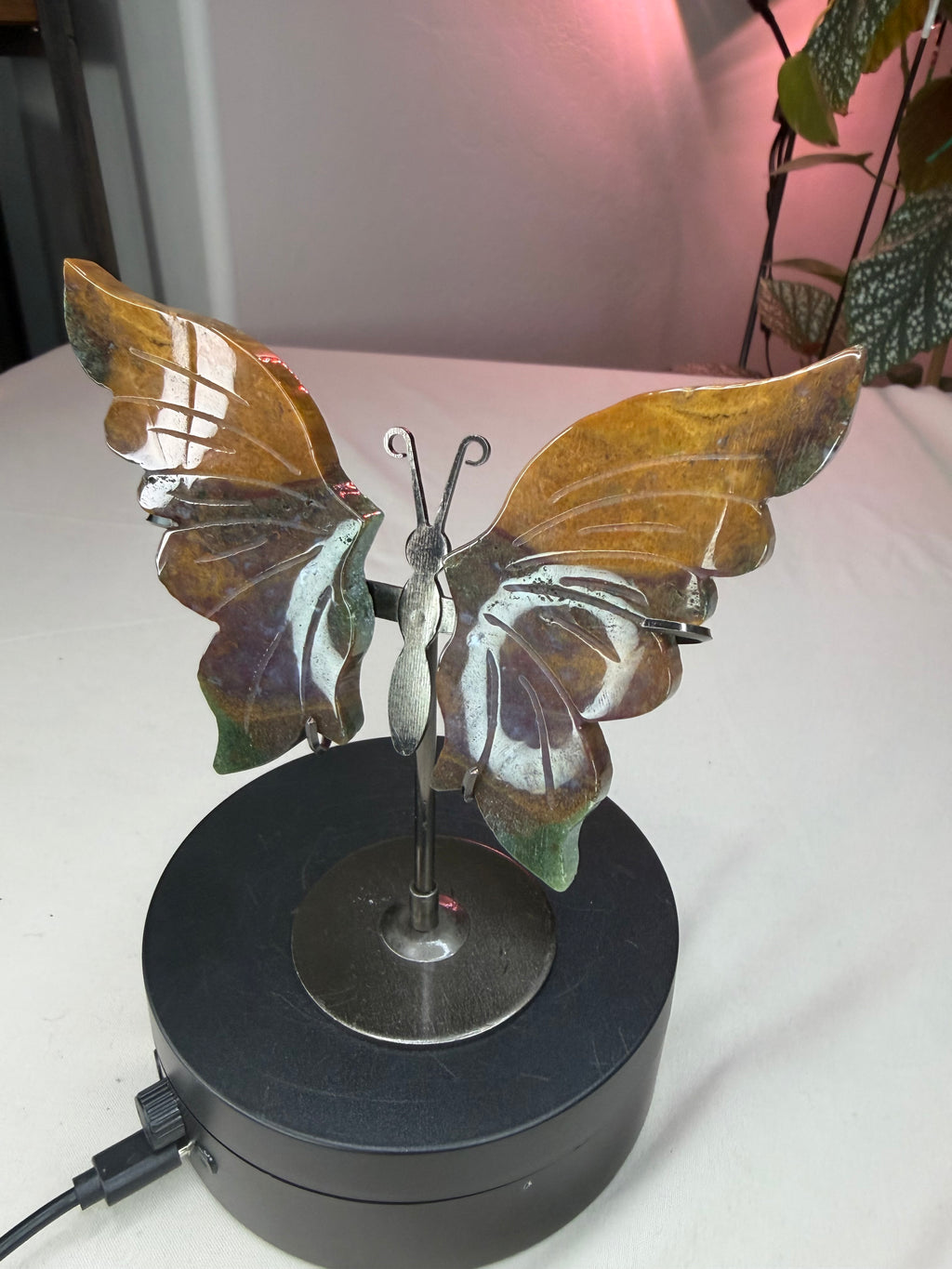 Ocean Jasper Butterfly Wings