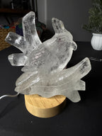 Gorgeous Hand Carved Clear Quartz Bird