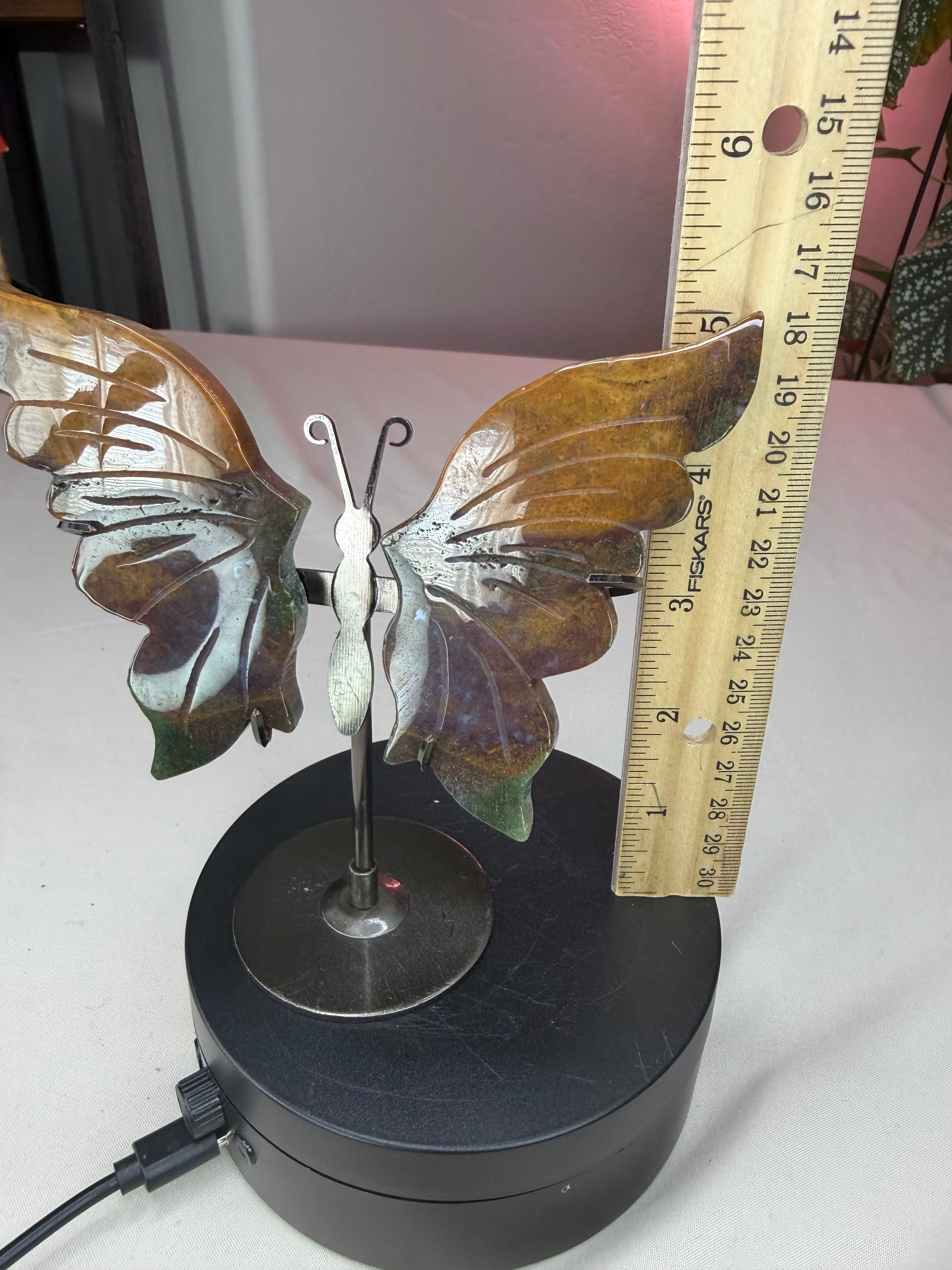 Ocean Jasper Butterfly Wings
