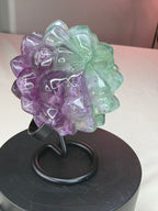 Rainbow Fluorite Flower Succulent Carving on Stand