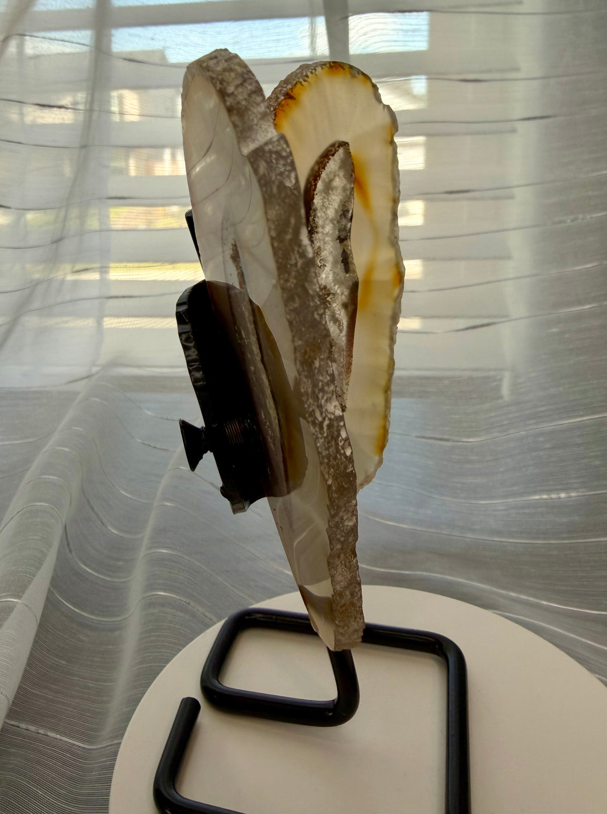 Natural Agate Butterfly Wings on Display Stand - 5.5" Mineral Sculpture - 7.3 oz