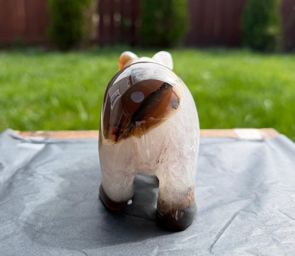 Druzy Agate Hand Carved Bear