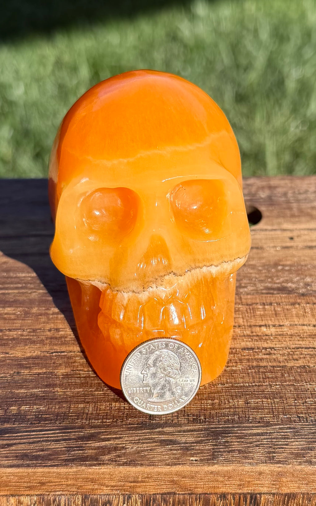 Gorgeous Honey Calcite Skull Carving - Banded Orange Calcite Crystal Skull