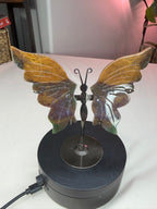 Ocean Jasper Butterfly Wings