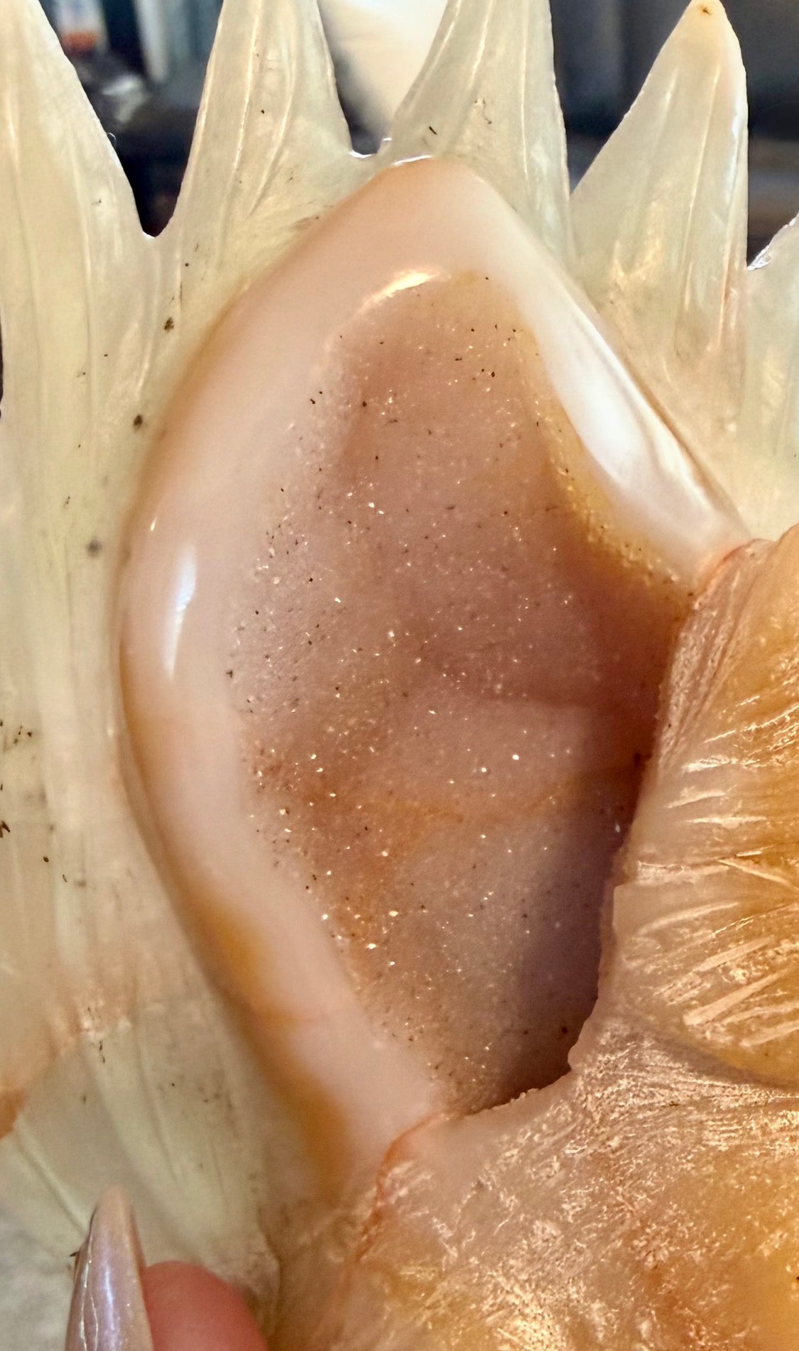 Druzy Agate 9-Tail Fox Carving - Crystal Kitsune Fox Statue