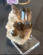 Smoky Quartz Cluster on Display Stand