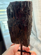 Black Natural Tourmaline mineral specimen mounted on fixed metal display pin.