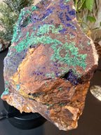 Large Azurite & Malachite Specimen on Stand