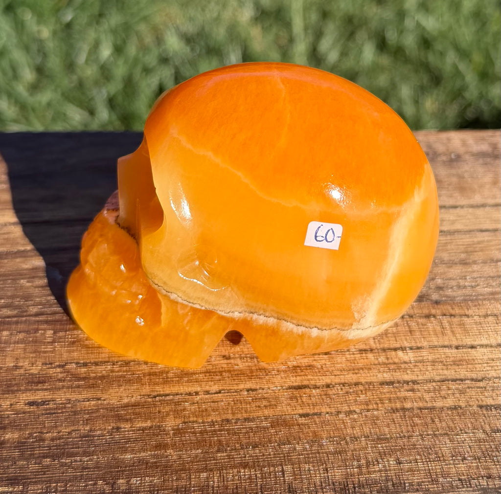 Gorgeous Honey Calcite Skull Carving - Banded Orange Calcite Crystal Skull
