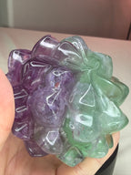 Rainbow Fluorite Flower Succulent Carving on Stand