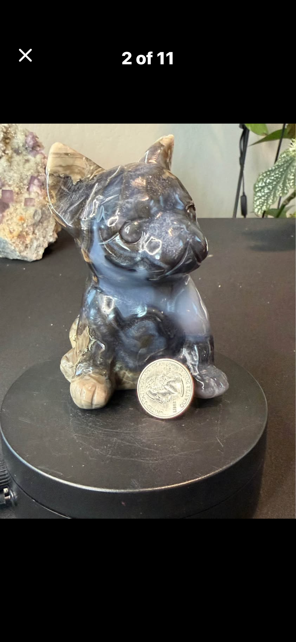 Big Volcano Agate Puppy Crystal Carving (UV Reactive)