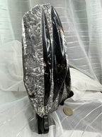 Stunning Large Polished Stone Slab with Ancient Sea Tube Patterns + Display Stand