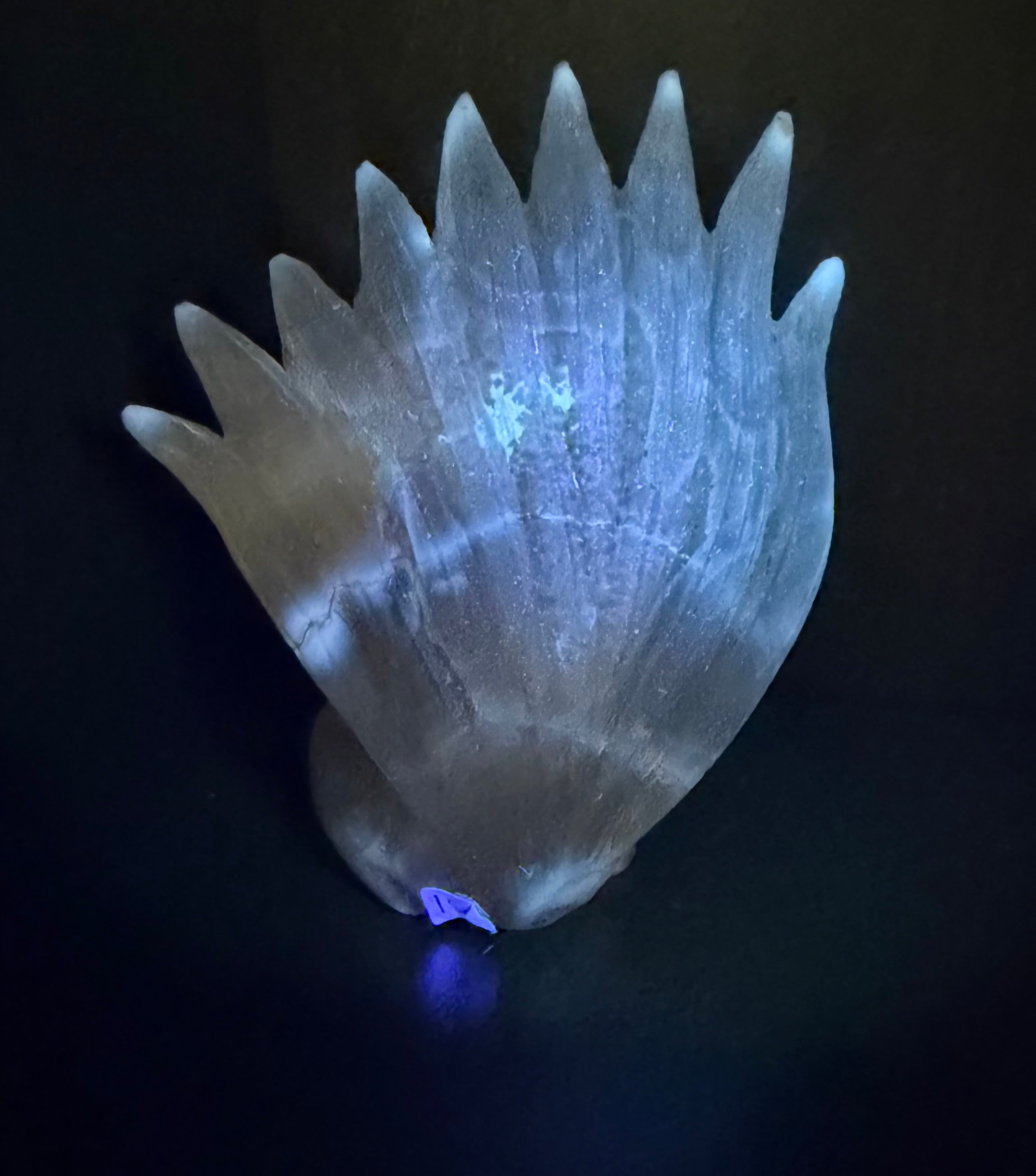 Druzy Agate 9-Tail Fox Carving - Crystal Kitsune Fox Statue