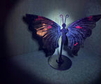 Ruby Zoisite Butterfly
Wings