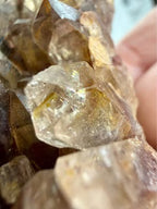 Natural Smoky Brown Stone Cluster with Golden Needle Inclusions