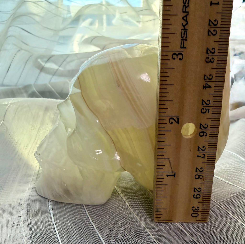 Mexican Green Onyx Skull Carving - UV Reactive Banded Calcite