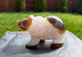 Druzy Agate Hand Carved Bear