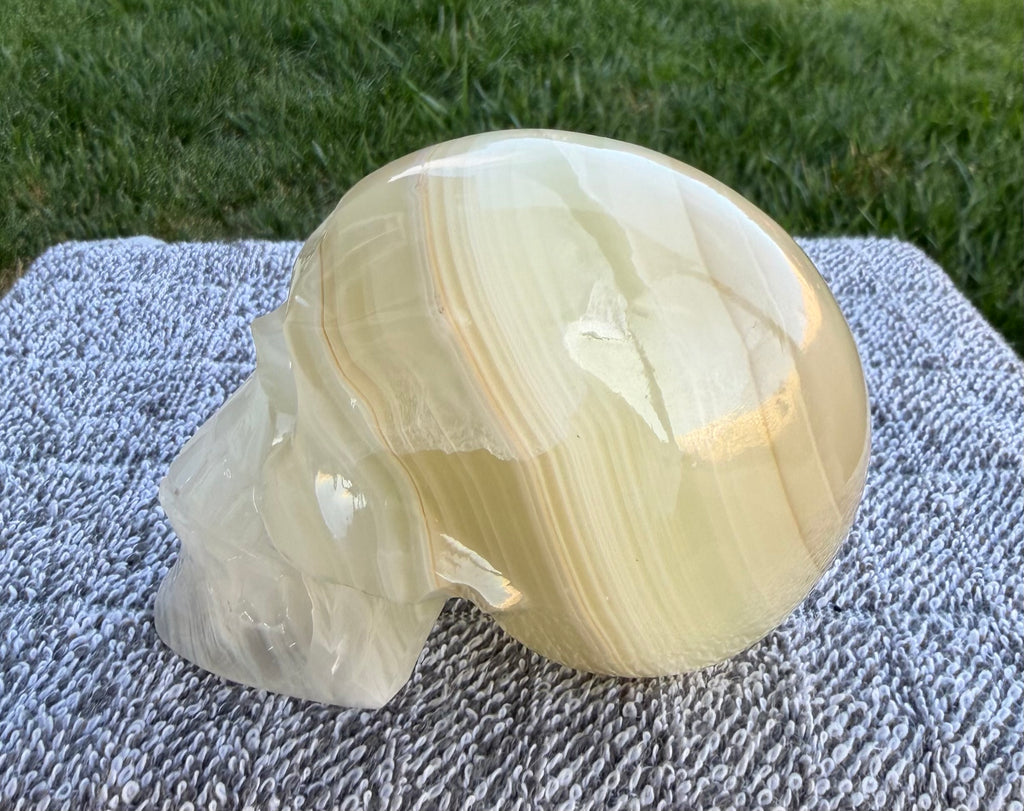 Mexican Green Onyx Skull Carving - UV Reactive Banded Calcite