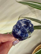 Sodalite Carved Rose on Silver Metal Stem - Natural Stone Flower Decor