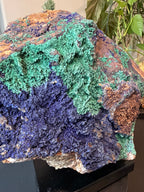 Large Azurite & Malachite Specimen on Stand