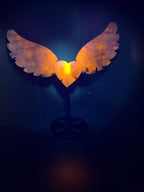 Natural Blue Sodalite Hackmanite Angel Wings with Heart Center