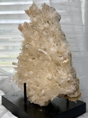 Australian Selenite Crystal Statement Piece