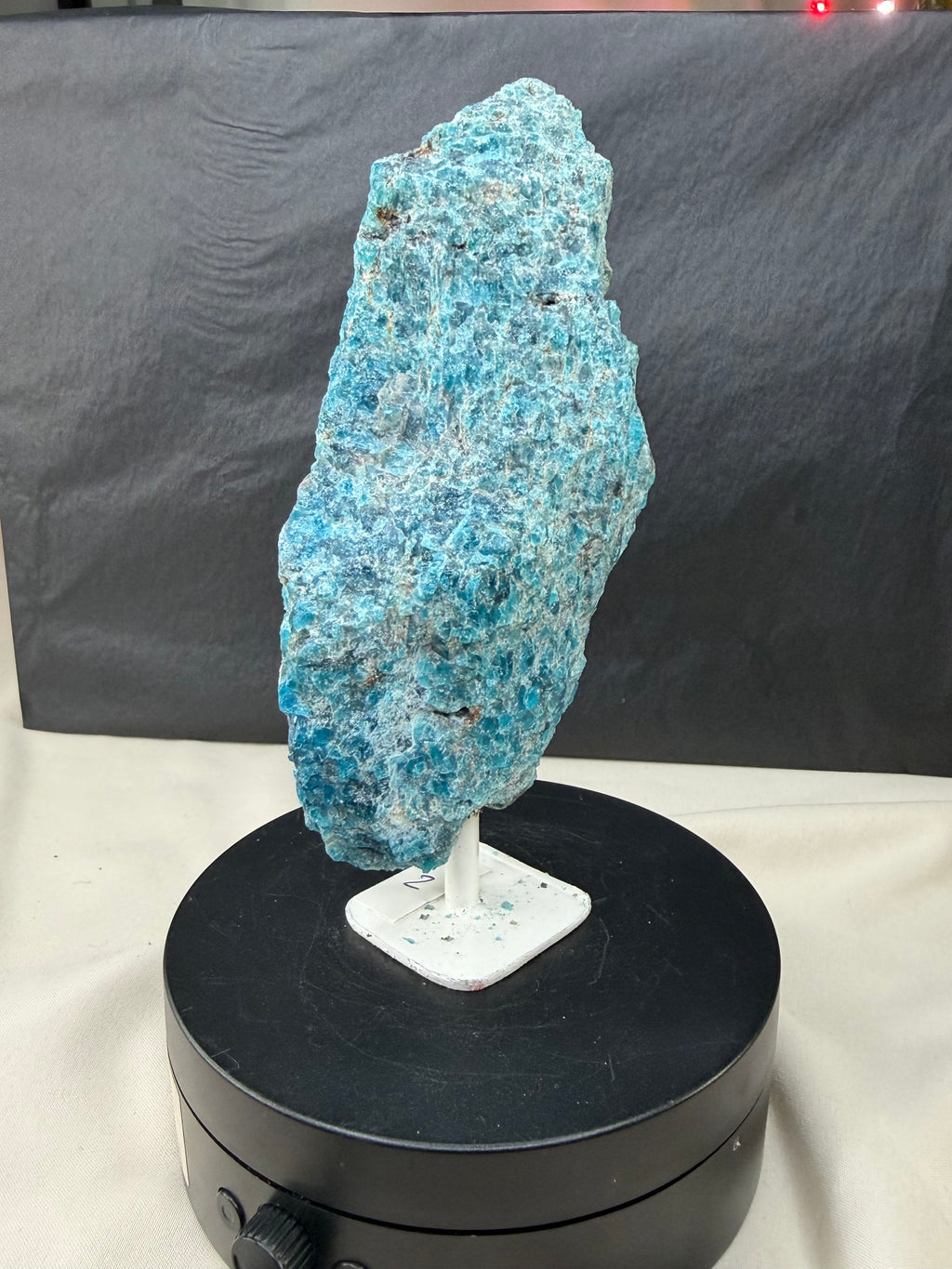 Raw Blue Apatite Stone on Stand
